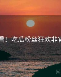 冲浪必看！吃瓜粉丝狂欢非官方视角
