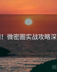 超详细！微密圈实战攻略深度解析