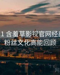 2024-11 含羞草影视官网经典回顾：粉丝文化高能回顾