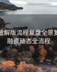 汤头条破解版流程复盘全景复盘：投融资动态全流程