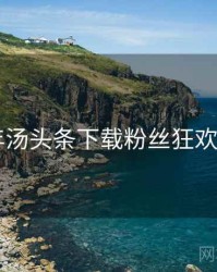 2020年汤头条下载粉丝狂欢全档案