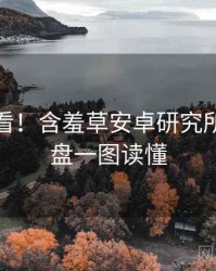 冲浪必看！含羞草安卓研究所流程复盘一图读懂