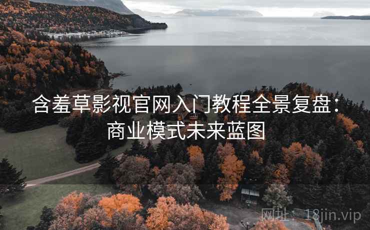含羞草影视官网入门教程全景复盘：商业模式未来蓝图